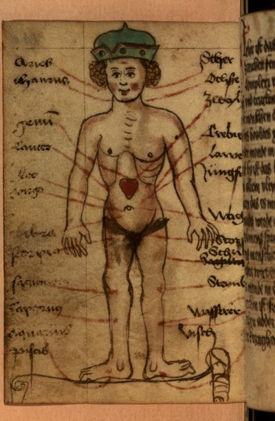 Diagrama del zodiaco que muestra la posición del corazón, de una colección de oraciones y figuras astrológicas de German School
