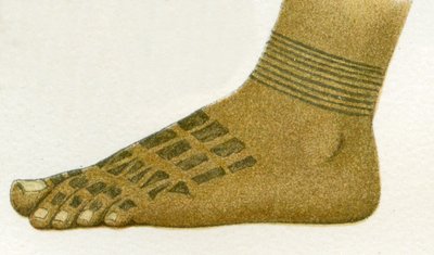 Ejemplo de diseños de tatuajes en el pie de los dayak, Borneo, 1894 de German School