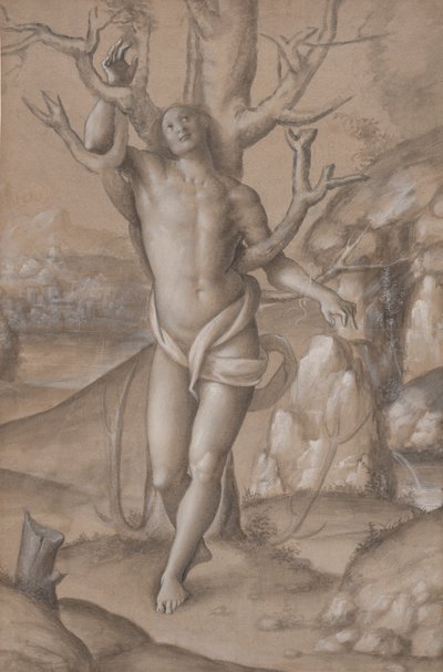 San Sebastián de Gerolamo Giovenone