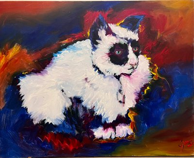 El gato Bungee de Gerrit Greve