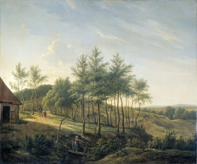 Paisaje accidentado de Gerrit Jan Michaelis