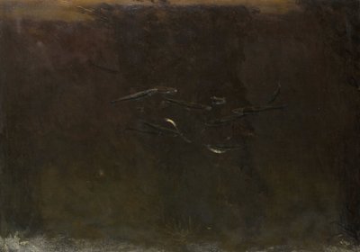 Peces en un acuario de Gerrit Willem Dijsselhof