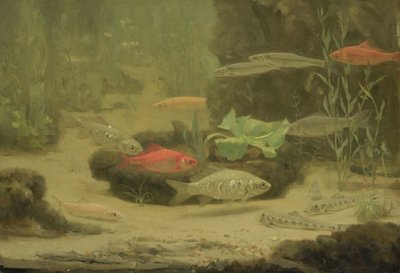 Peces de colores en un acuario de Gerrit Willem Dijsselhof