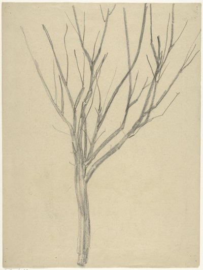 Árbol desnudo de Gerrit Willem Dijsselhof