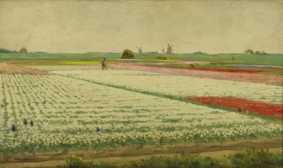 Campos de tulipanes de Gerrit Willem Dijsselhof