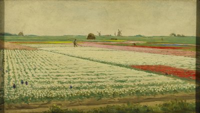 Campos de tulipanes de Gerrit Willem Dijsselhof
