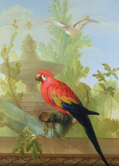 Un guacamayo y una paloma en un jardín ornamental, 1772 de Gerrit van den Heuvel