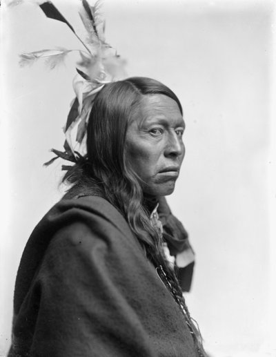 Jefe sioux Flying Hawk, c.1900 de Gertrude Käsebier