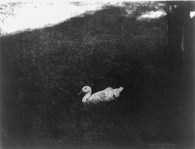 La vida simple de Gertrude Käsebier