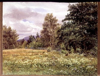 Reina de los Prados cerca de Polchar, Aviemore, Escocia de Gertrude Martineau