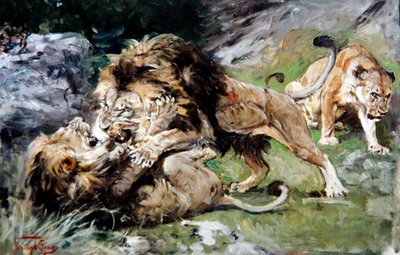 Leones de Berbería Luchando, c.1890 de Geza Vastagh
