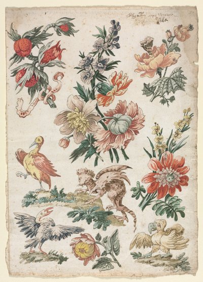 Diseños Florales con Pájaros y Grifo, 1784 de Giacomo Cavenezia