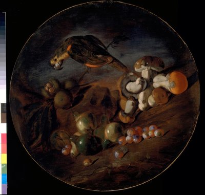 Naturaleza muerta con hongos, frutas y loro de Giacomo Fardella de Calvello