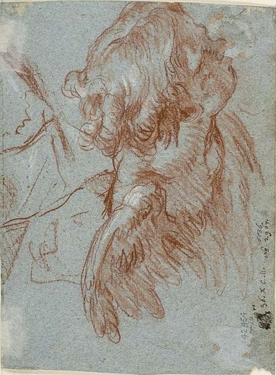 Estudio para detalle: Cabeza de un querubín de Giambattista Tiepolo