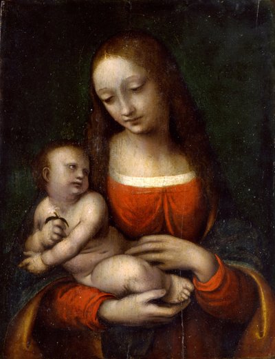 Virgen y Niño, 1510-1515 de Giampietrino