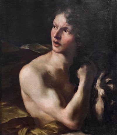 David de Gian Lorenzo Bernini