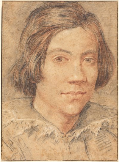 Retrato de un joven de Gian Lorenzo Bernini