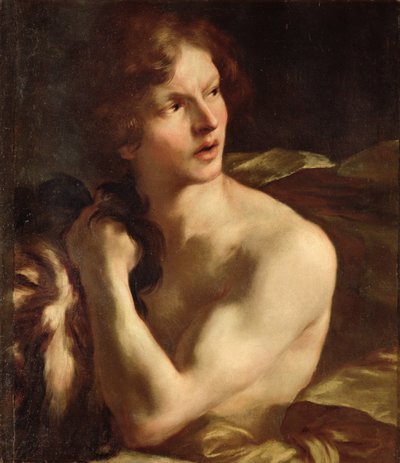 Imagen desconocida de Gian Lorenzo Bernini