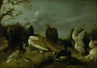 Pavos Reales, Patos y otros Animales de Gijsbert Gillisz. de Hondecoeter