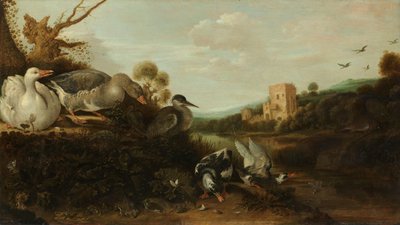 Aves acuáticas de Gijsbert Gillisz de Hondecoeter