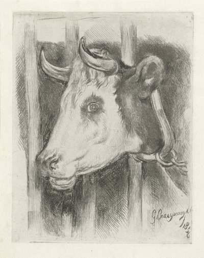 cabeza de vaca de Gijsbertus Craeyvanger