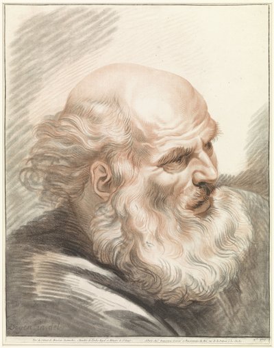 Cabeza de anciano con barba de Gilles Demarteau