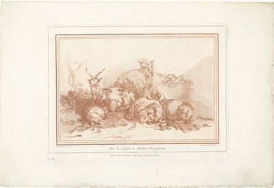 Ovejas y cabras tumbadas de Gilles Demarteau