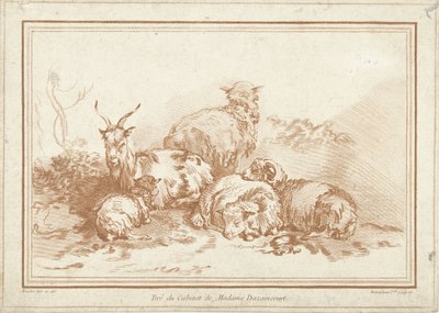 Ovejas y cabras tumbadas de Gilles Demarteau