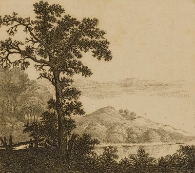 Paisaje de Gillis Neyts