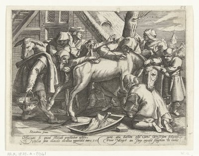 lavando el burro de Gillis van Breen