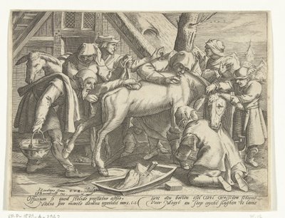 lavando el burro de Gillis van Breen