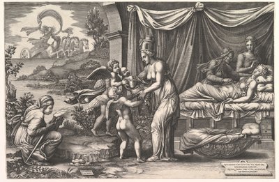 Alegoría del nacimiento, 1558 de Giorgio Ghisi