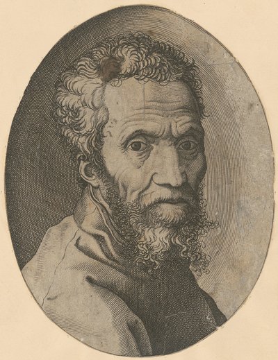 Retrato de Miguel Ángel de Giorgio Ghisi
