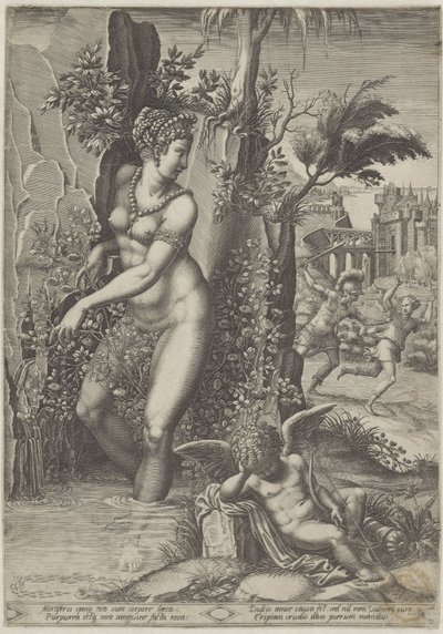 venus y la rosa de Giorgio Ghisi