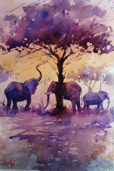 Elefantes africanos: atardecer púrpura de Giorgio Gosti