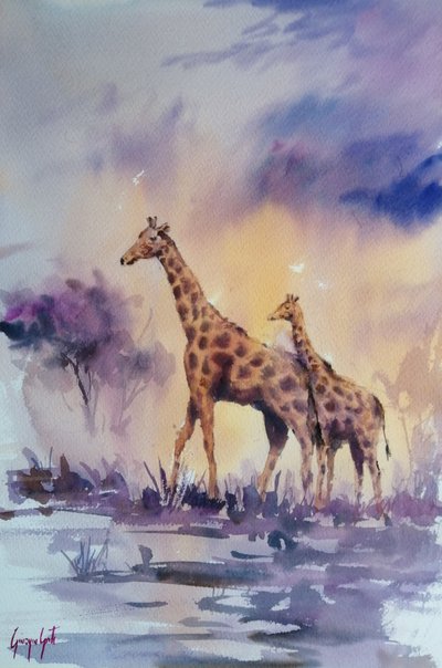 Jirafas al atardecer en África de Giorgio Gosti