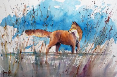 Alert Fox en Reeds de Giorgio Gosti
