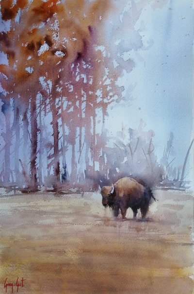 Bisonte en la niebla otoñal de Giorgio Gosti