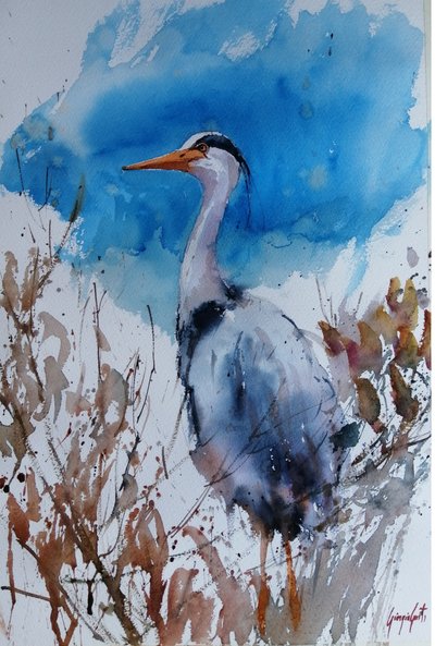 Acuarela «Garza azul» de Giorgio Gosti