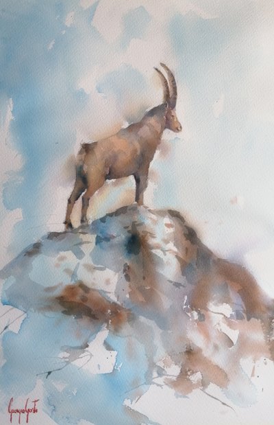 La majestuosa cabra montés alpina de Giorgio Gosti