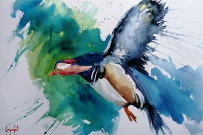 Pato mandarín en vuelo de Giorgio Gosti