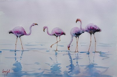 Flamencos rosados vadeando de Giorgio Gosti