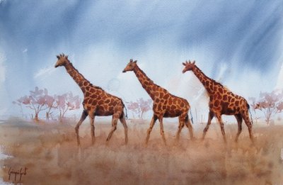 Trío de jirafas Safari de Giorgio Gosti
