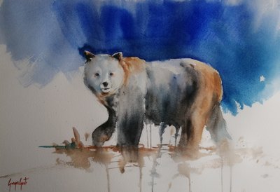 Oso azul espiritual de Giorgio Gosti