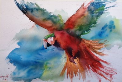 Un guacamayo de colores vivos en pleno vuelo de Giorgio Gosti