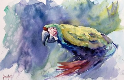 Guacamayo en acuarela de vivos colores de Giorgio Gosti