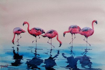 Flamencos rosas vadeando de Giorgio Gosti