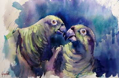 Loro verde en acuarela de Giorgio Gosti