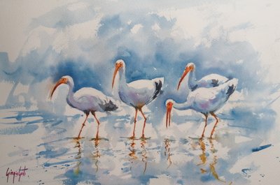 Reflejos del ibis blanco de Giorgio Gosti