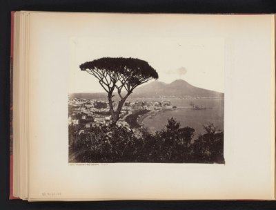 Vista de Nápoles, Italia, con un pino en primer plano Panorama valle Vomero Napoli (título sobre objeto) de Giorgio Sommer